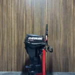 Evinrude E-TEC 25 HP EFI outboard engine