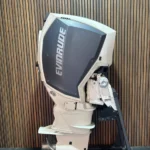 Evinrude E-TEC 300 HP G2 '20 outboard engine