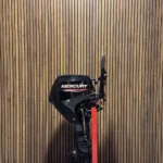 Mercury 20 HP EFI '22 outboard engine