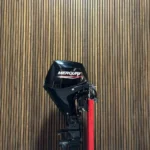 Mercury 25 HP EFI 23 outboard engine