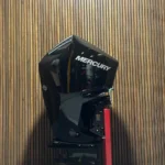 Mercury F175 DS outboard engine