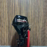 Mercury F30EPT outboard engine