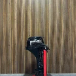 Suzuki 20 HP EFI "21 outboard engine